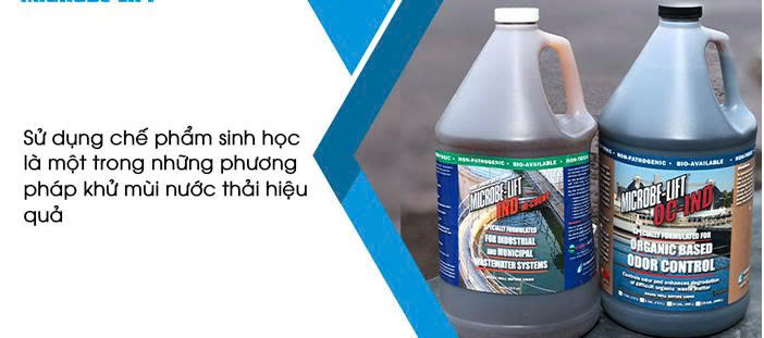 Khử mùi nước thải bằng men vi sinh