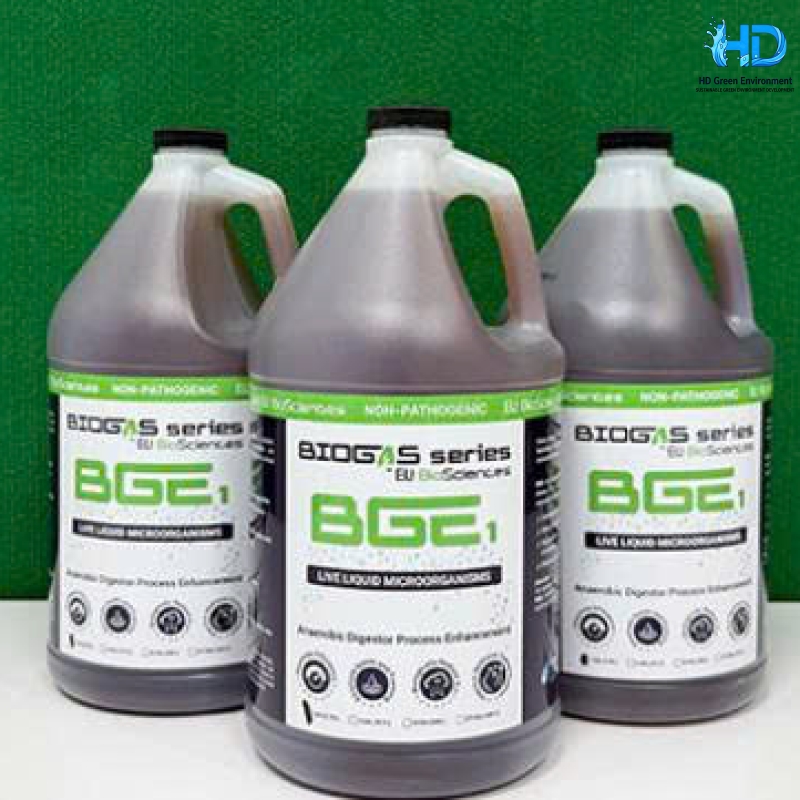 ELI Biosciences BGE1 – Vi sinh kỵ khí (Giảm BOD, COD, TSS)